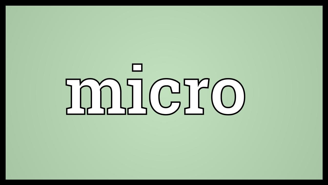Micro meaning
